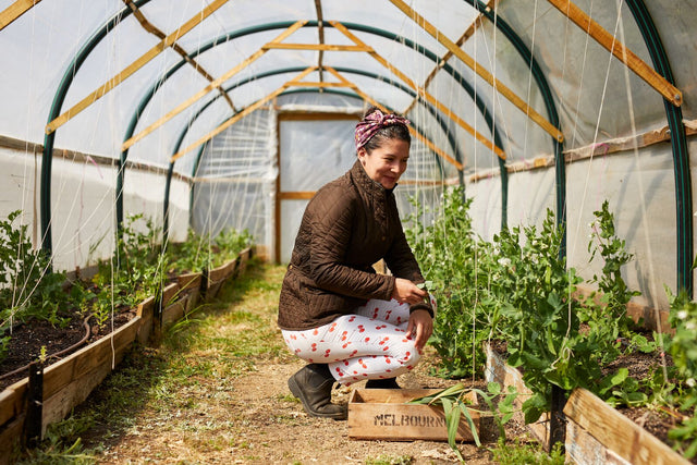 A woman wearing Blundstones crouches next to a vegetable garden in a hot house