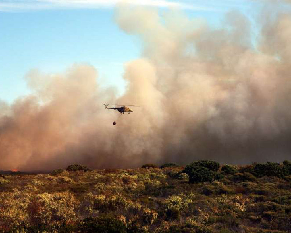 Blundstone Support For Australian Bushfire Crisis