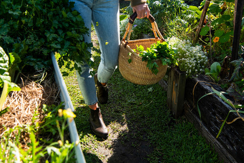 Lifestyle Women 8 image of Blundstone Women's Originals #2116 in Brown
